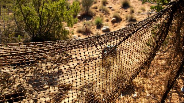 Top tips for selecting camo netting for outdoor pursuits